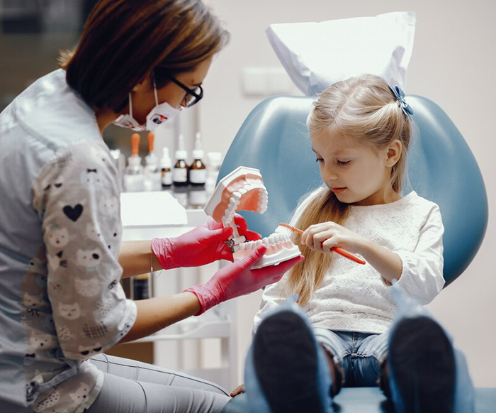 A child practicing toothbrushing on a plastic model of teeth and gums